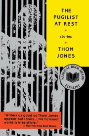 The Pugilist at Rest Stories cover image