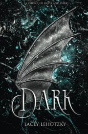 Dark (A Choice of Light and Dark) cover image