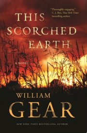 This Scorched Earth A Novel of the Civil War cover image
