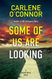Some of Us Are Looking cover image