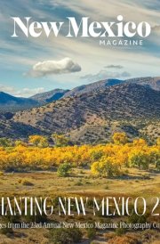 2025 Enchanting New Mexico Calendar cover image