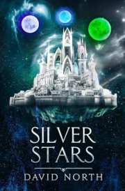 Silver Stars (Guardian of Aster Fall) cover image