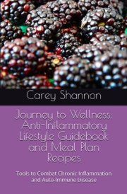 Journey to Wellness Anti-Inflammatory Lifestyle Guidebook and Meal Plan Recipes: Tools to Combat Chronic Inflammation and Auto-Immune Disease cover image