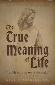 The True Meaning of Life cover image