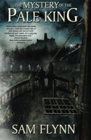 The Mystery of the Pale King cover image