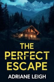 The Perfect Escape: An absolutely addictive and unputdownable psychological thriller cover image