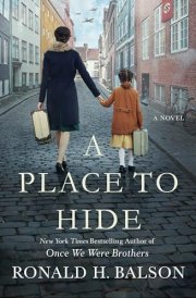 A Place to Hide A Novel cover image