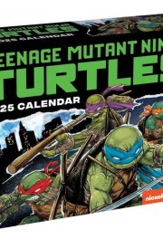 Teenage Mutant Ninja Turtles: The Comics 2025 Day-to-Day Calendar cover image