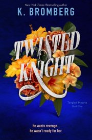 Twisted Knight Tangled Hearts, Book One cover image
