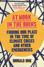 At Work in the Ruins Finding Our Place in the Time of Climate Crises and Other Emergencies cover image