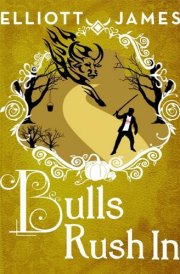 Bulls Rush In cover image