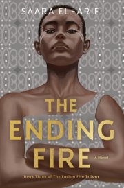 The Ending Fire A Novel cover image