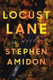 Locust Lane A Novel cover image