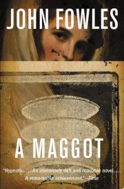A Maggot cover image