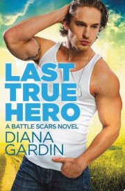Last True Hero cover image