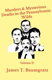 Murders & Mysterious Deaths in the Pennsylvania Wilds. Volume II cover image