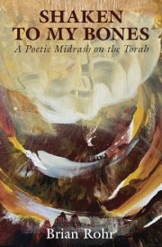 Shaken to My Bones A Poetic Midrash on the Torah cover image