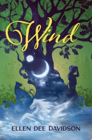 Wind cover image