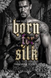 Born For Silk: Alternative Cover cover image