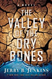 The Valley of the Dry Bones A Novel cover image