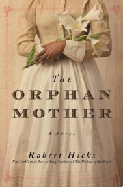 The Orphan Mother A Novel cover image