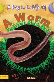 A Worm cover image