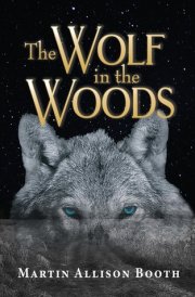 The Wolf In the Woods cover image