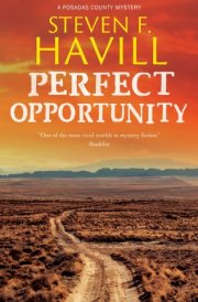 Perfect Opportunity cover image