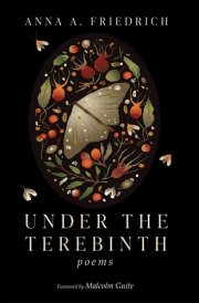 Under the Terebinth Poems cover image