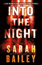 Into the Night cover image