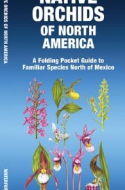 Native Orchids of North America cover image