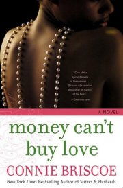 Money Can't Buy Love A Novel cover image