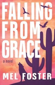 Falling From Grace cover image