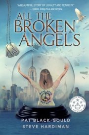 All the Broken Angels cover image