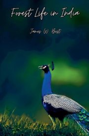 Forest Life in India cover image