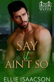 Say it Ain't So cover image