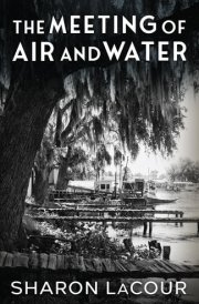The Meeting of Air and Water cover image