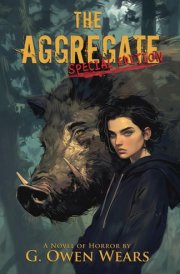 The Aggregate: Special Edition cover image