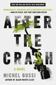 After the Crash A Novel cover image