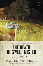 The Death of Sweet Mister A Novel cover image