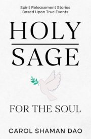 Holy Sage For The Soul - Updated Edition: Spirit Releasement Stories Based Upon True Events cover image