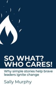 So What? Who Cares!: Why Simple Stories Help Brave Leaders Ignite Change cover image