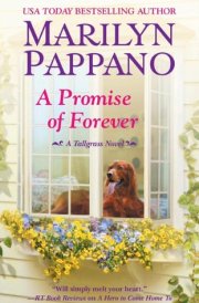 A Promise of Forever cover image