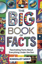 The Big Book Of Facts: Fascinating Facts About Everything Under The Sun cover image