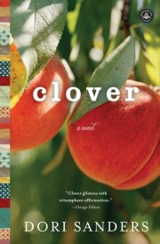 Clover A Novel cover image