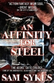 An Affinity for Steel cover image