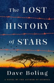 The Lost History of Stars A Novel cover image