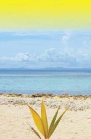 Fiji & Tonga Travel Reference Map - 2025 Edi cover image