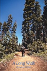 A Long Walk cover image