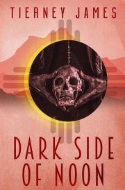 Dark Side of Noon cover image